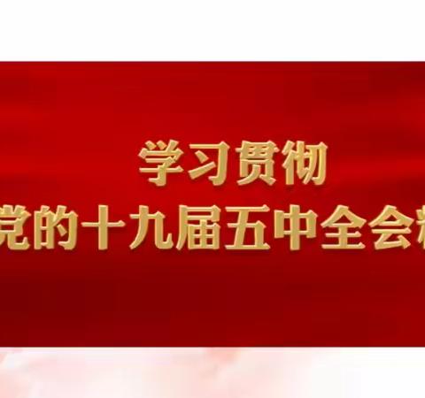 学习贯彻党的十九届五中全会精神