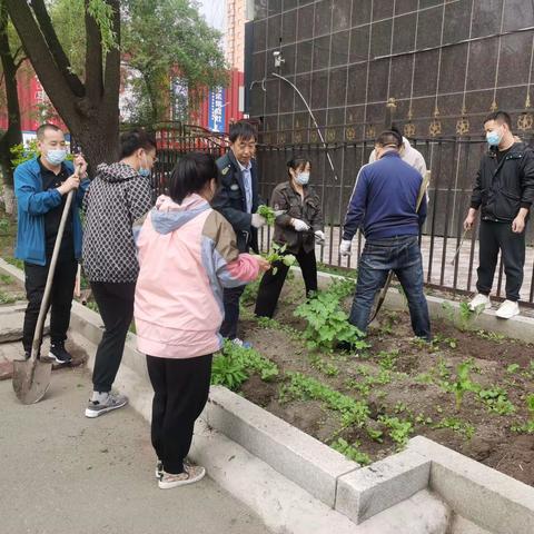 肇东市支行党支部组织开展“我们的节日•端午”主题党日活动