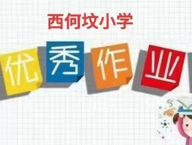 西何坟小学作业展评活动