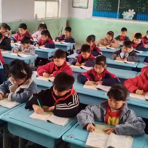 【两看两讲两比】“午写，让练字成为一种习惯”——长兴办事处楚寨小学二年级书写掠影