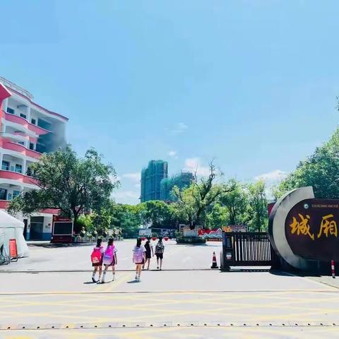 城小暑托喜结硕果，缤纷夏日因你精彩——城厢小学文丰校区暑托工作纪实