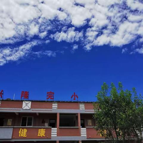 法镇兴隆完全小学夏季防溺水安全教育