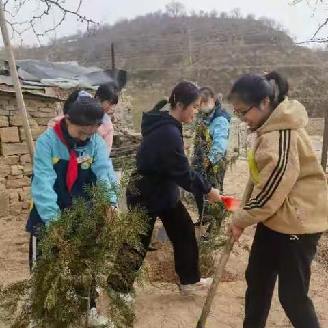 早春三月    米“植”有我——米脂县南关小学六年级二班亲子植树活动