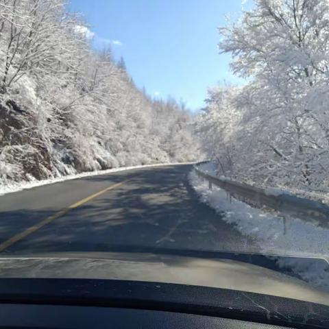 冬雪燃情，专家解惑