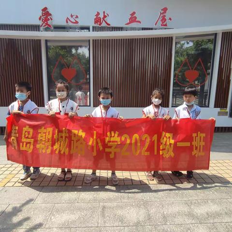 喜迎二十大 童心向党，青岛朝城路小学2021级一班暑期活动系列（一）义务献血宣传员