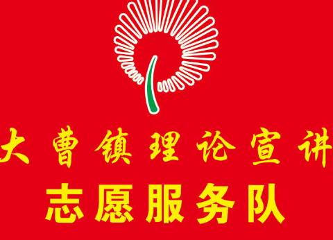 新时代文明实践志愿团队创建管理流程