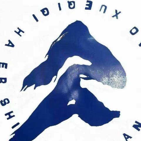 跃动“绳”采，活力绽放