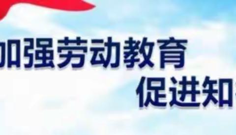 【魏庄街道大车东小学】劳动助双减，成长在路上……