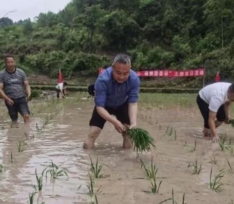 指挥长来到咱小渗沟