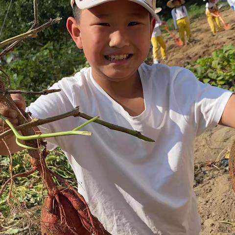 研学旅行促成长，最美课程在路上—厚德外国语三（6）班研学之行
