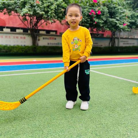 体智能《冰球🏒》