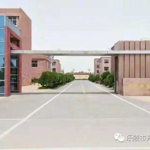 给居家不学习同学的一封信