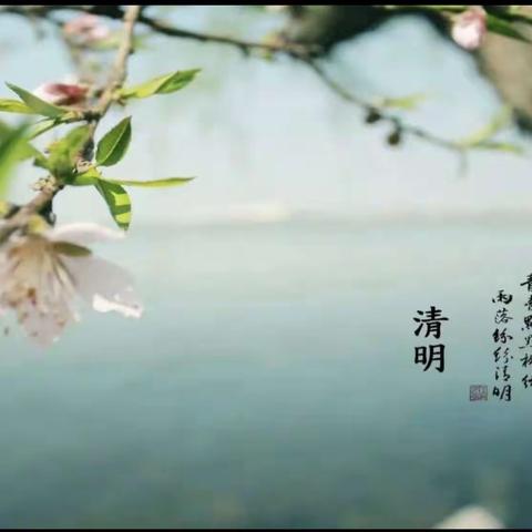 【未央教育·新优质校】慎终追远，“云”寄哀思——西安市第四十八中学开展清明文明祭扫活动