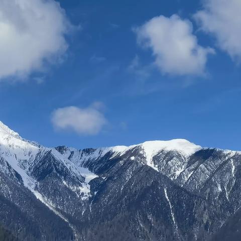 西藏随笔4——雅尼湿地、色季拉山口与卡定沟