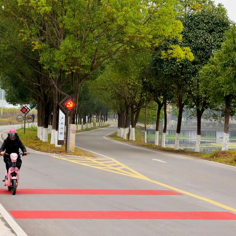 雷家畈有个“雷路长”，——宋百路上的路长们