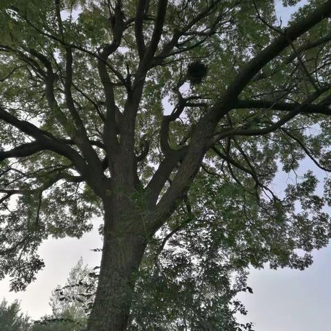 西阎镇革命烈士事迹（一）