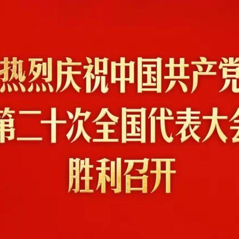 喜迎二十大，再踏新征程！———吴忠市第三中学八年级（19）班