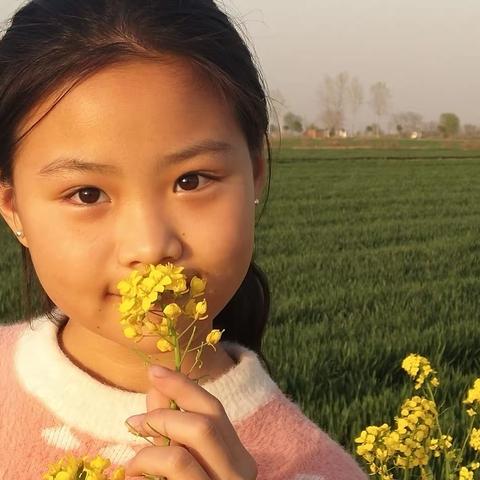 油菜花美人更美