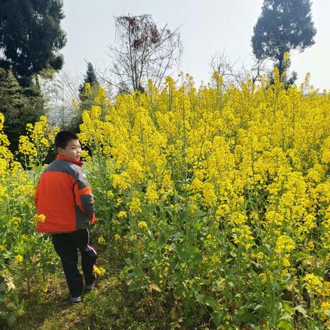 三、一班   罗成宇“停课不停学”总结