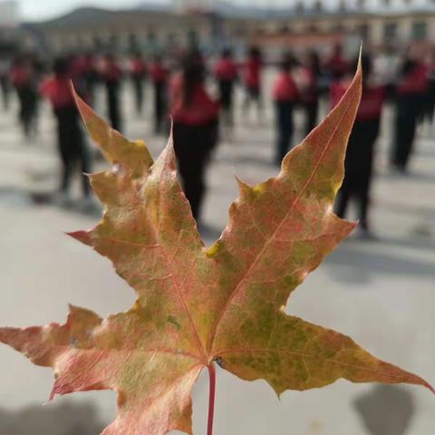 “铸牢中华民族共同体意识，团结进步展少先队员风采 ”——周大福郑裕彤第七十四小学队形队列比赛活动纪实