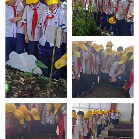 李逸帆6、7月成长记录