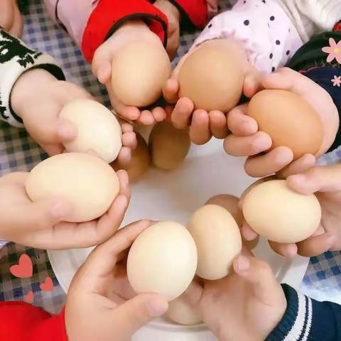 蛋🥚宝宝奇遇记