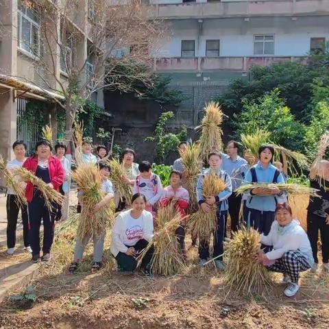 “我们的丰收节 ” 义马市特殊教育学校第一届丰收节