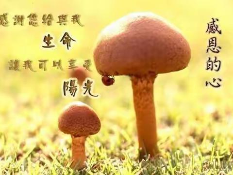 《牵妈妈的手，感妈妈的恩》——六4班