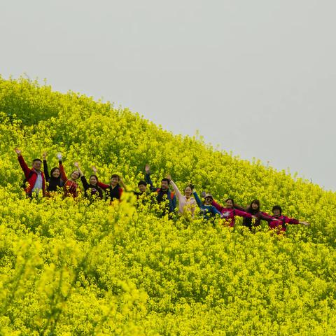 满山尽披黄金甲 壮丽山村大坑源