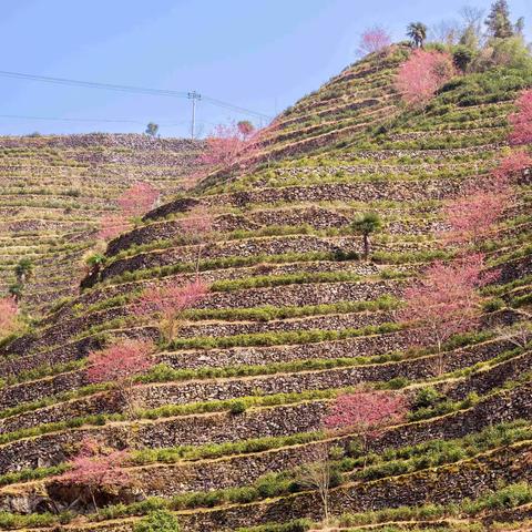 探访全国最大的高山梯田村---蜈蚣岭