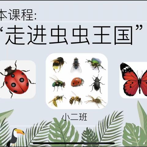 班本课程|沙三幼小二班《走进虫虫王国》班本课程活动