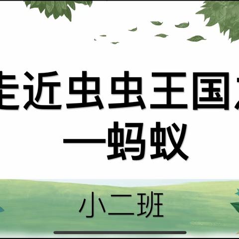 班本课程|沙三幼小二班《小蚂蚁，大智慧》班本课程活动