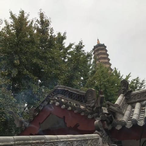 第三次看你，依依不舍