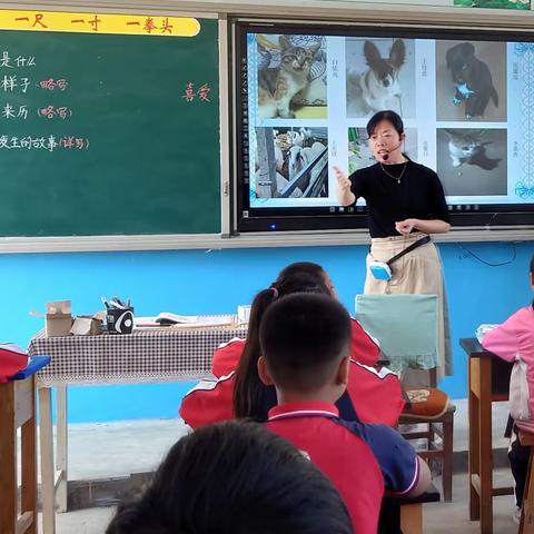 聚焦作文教学，共研提升策略——大相小学“作文教学”主题教研活动