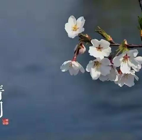 缅怀革命先烈   珍惜幸福生活