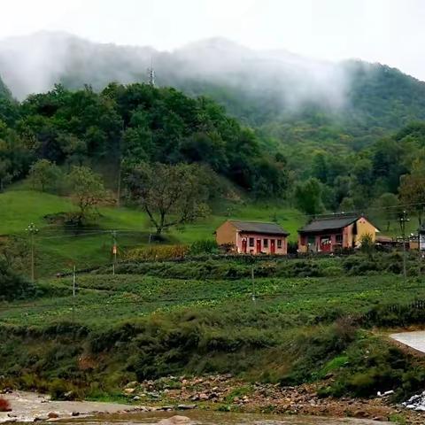 关山草原美