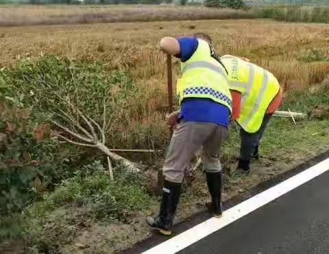 抗风暴，除隐患，农路人行动在一线！