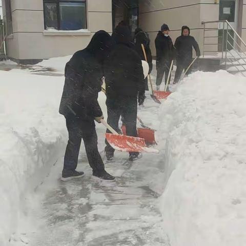 甘三中除雪告急书