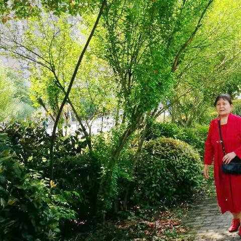 最美不过四月天