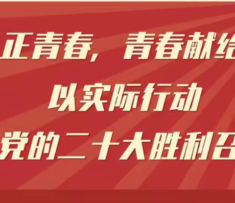 喜迎二十大|百年青春，绘就芳华——实验职专绘画作品展