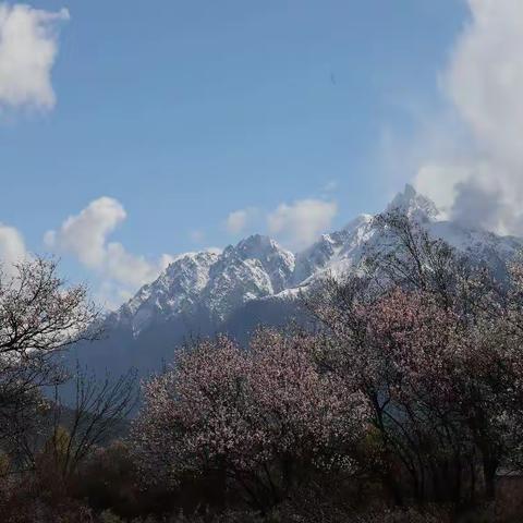 李棋中学体育艺术节