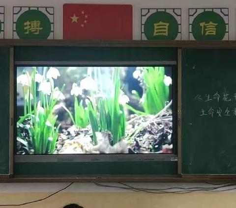 安全第一，防范未然——坪脑小学2022春开学安全第一课及应急疏散演练活动