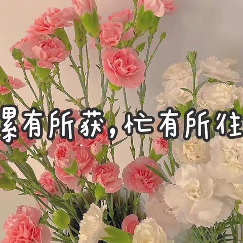 回眸凝望🌟砥砺前行 ——🌺一年级组工作总结