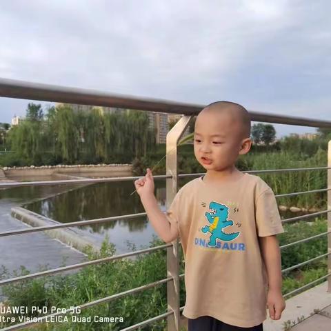 省建幼儿园芽芽三班魏天罡成长记录篇