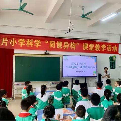 聚焦核心素养 构建高效课堂 ——西片小学科学同课异构课堂教学活动