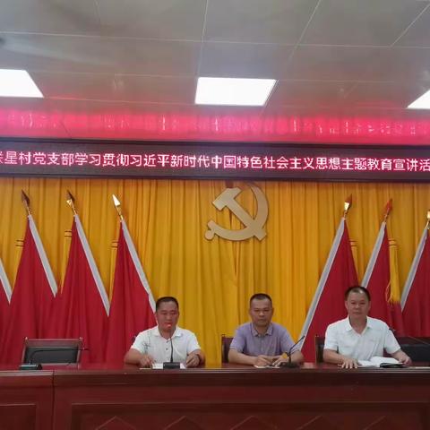 联星村党支部学习贯彻习近平新时代中国特色社会主义思想主题教育宣讲活动