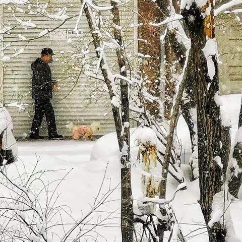 瑞雪飘飘