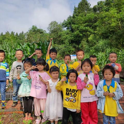 太平镇太平学校幼儿园——第十六周