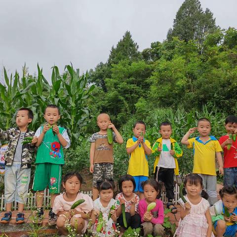 太平镇太平学校幼儿园——第十七周