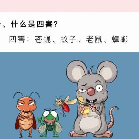 佳县第五幼儿园除四害 保健康 ——病媒生物防治工作